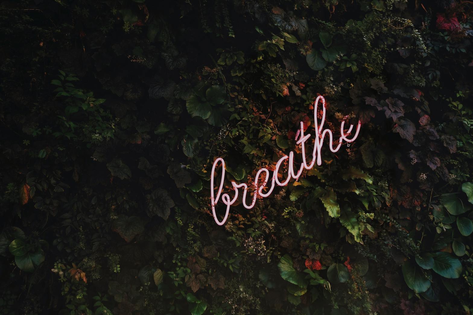 green-leaves-LED-lights-word-breathe